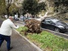 Ветер повалил деревья в Риме