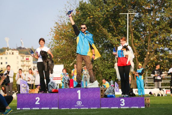 Фокстерьер Бада во время награждения на Чемпионате мира с дог-пуллера