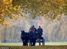 Принц Филипп, 97 лет, снялся во время управления тележкой, запряженной парой лошадей