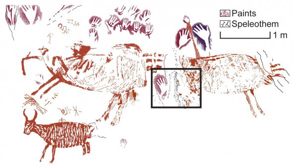 На Борнео нашли древнее изображение быка