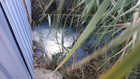 В оккупированном Крыму лечебные озера испачкали фекальными водами