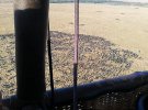 Туристы полетали над стадами антилоп гну на воздушном шаре