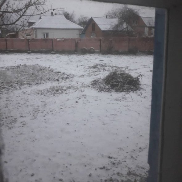Украину накрыли первые снегопады