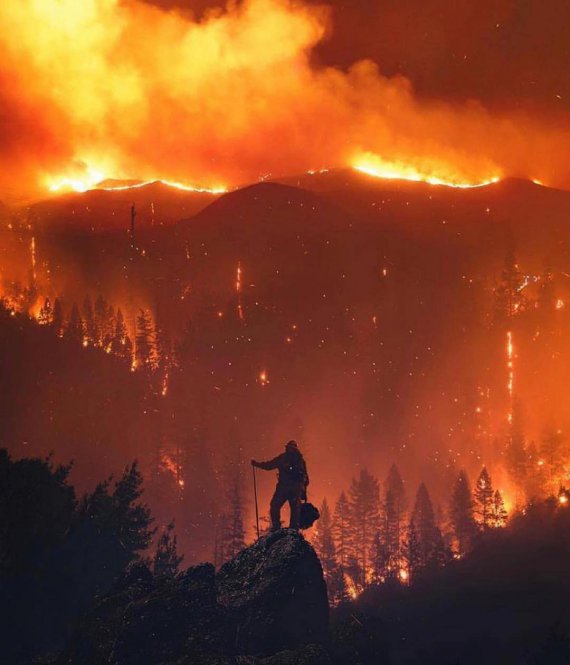 В Калифорнии объявили режим чрезвычайной ситуации. В штате свирепствует самый сильный за последние годы лесной пожар