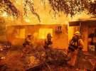 В Калифорнии объявили режим чрезвычайной ситуации. В штате свирепствует самый сильный за последние годы лесной пожар