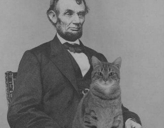 16-й президент США (1861-1865) Авраам Линкольн был первым руководителем, который позволил завести кота в Белом доме. Кот Табби был домашним животным Линкольнового сына Теда. Изображение иллюстративное