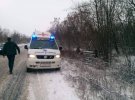 Донецкая область: пассажиры чудом выжили в иномарке, которая вылетела с дороги 