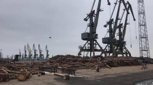 Депутати Ляшка зупинили контрабанду лісу в порту Рені