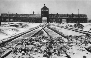 У Німеччині судитимуть 95-річного екс-охоронця концтабору: його звинуватили у смерті 36 тисяч людей. Фото: history-doc.ru
