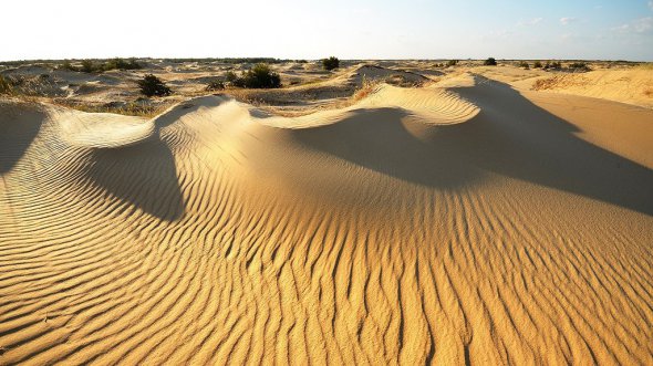 У Национального природного парка «Олешковские пески» увеличилась территория