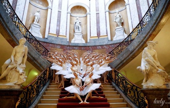 Шанхайские балерины приехали в Берлин с "Лебединым озером"