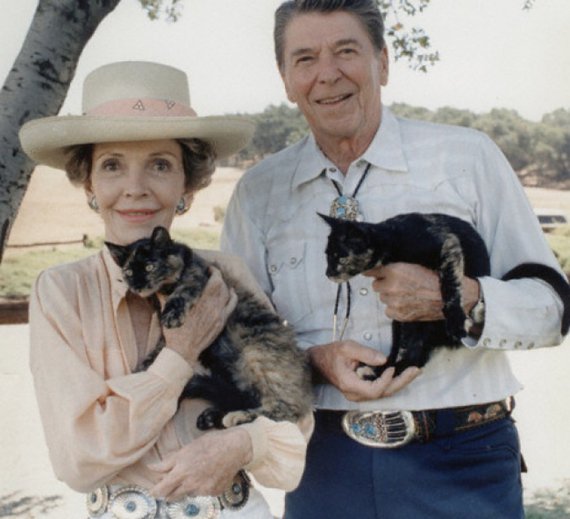 40-й президент США (1981—1989) Рональд Рейган та його дружина Ненсі настільки любили хвостатих, що мали по котику для кожного.