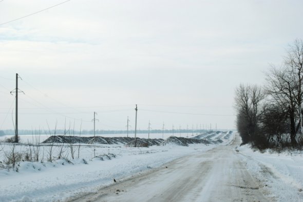 Бурти сахарной свеклы на полях возле Городкивки
