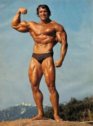 Арнольд Шварценеггер у 19 років виграв конкурс «Містер Європа», виступав під псевдонімом «Австрійський дуб». 4 рази отримує титул «Містер Всесвіт»; 7 разів – «Містер Олімпія». Фото: bodybuilding-pics.com