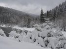 Сфотографували засніжене Закарпаття