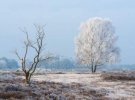 Роботи голландського пейзажного фотографа