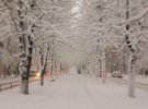 Снег выпал также в Кривом Роге и Кропивницком