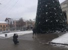 В Полтаве монтируют главную елку