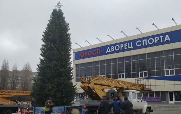 В городе Черноморск с праздничного дерева украли все гирлянды.