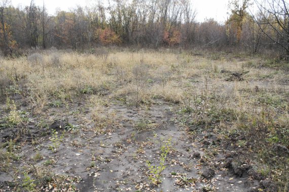 Між селами Заворскло та Бузова Пасківка Полтавського району планують звести сміттєпереробний завод. Територію вже розчищають