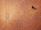 Одинокое дерево растет у корыта с водой на опустошенном засухой пастбище Мэй и Джимми Маккаунов. Окраина города Вальгетта, Новый Южный Уэльс, Австралия. 20 июля