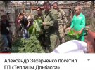 У теплицях, створених ватажком ДНР Захарченком,    почав гнити врожай