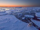 Талановитий 32-річний фотограф, мандрівник і власник туристичної компанії «Wildlife photography» в Норвегії відзняв фотопроект.