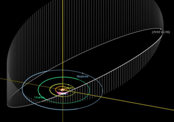 Примерная орбита Farout. Фото: Wikipedia