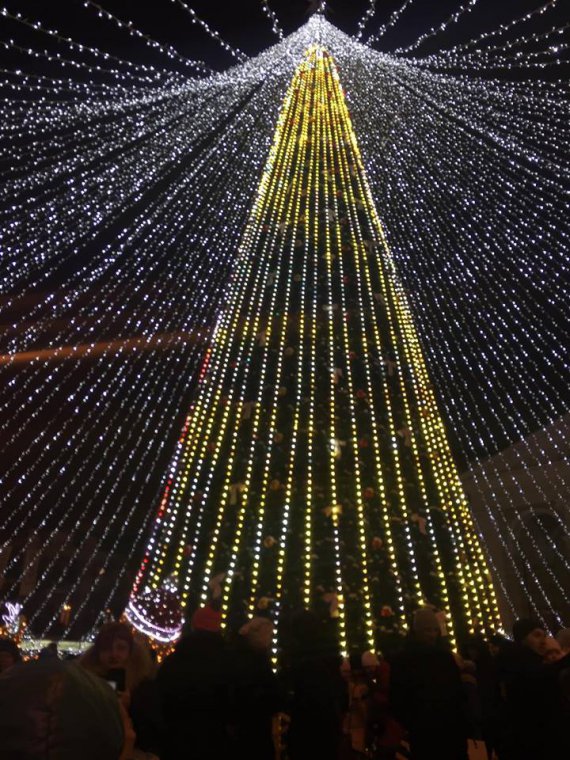 Открыли самую дорогую новогоднюю елку Украины