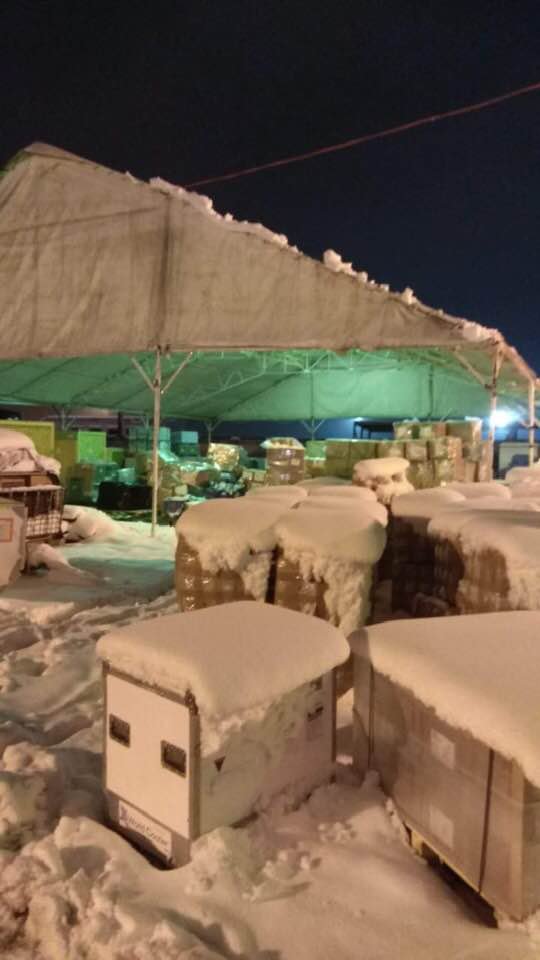 Часть посылок в аэропорту "Борисполь" лежат под снегом уже неделями