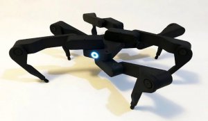 Гексапод показав ранкову гімнастику. Фото: Авто 24