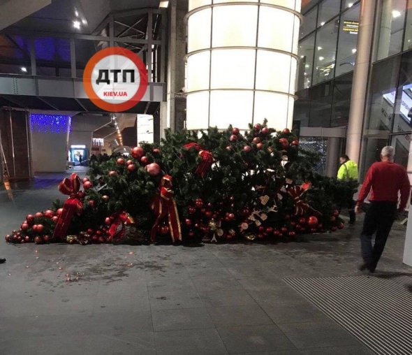 Ялинка впала в аеропорту Бориспіль