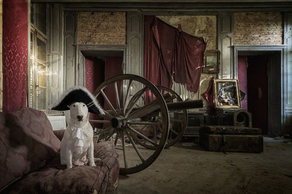 Фотограф знімає пса в ролі містичного мешканця покинутих будинків