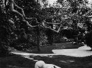 Хельмут Ньютон. «Дебора в красном экстерьере», Беверли-Хиллз, 1991 Фото: Helmut Newton