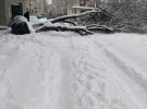 Через негоду окупована Луганщина "стала", в деякий раайонах міста повалилися дерева