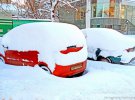 Из-за непогоды оккупирована Луганщина "стала", в некоторый районах города упали деревья