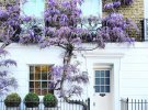 Белла Фоксвелл фотографує лондонські двері 2,5 роки 
