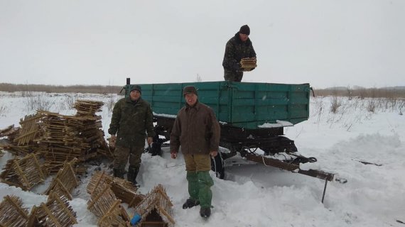 Найкраще встановлювати гнізда взимку, коли болото замерзло