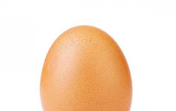 Фото куриного яйца стало рекордсменом Instagram. Фото: соцсети