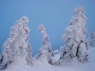 Волшебные фото заснеженного Прикарпатья