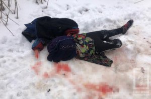 Вблизи Кривого Рога Днепропетровской области обнаружили труп женщины без головы