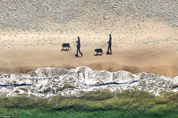3 место. 2 людей, 2 собаки и 2 тени идут по одесскому пляжу