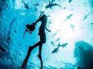 Дайверка показує неймовірний світ океану: небезпечні та відверті фото з акулами