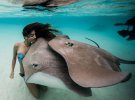 Дайверка показывает невероятный мир океана: опасные и откровенные фото с акулами
