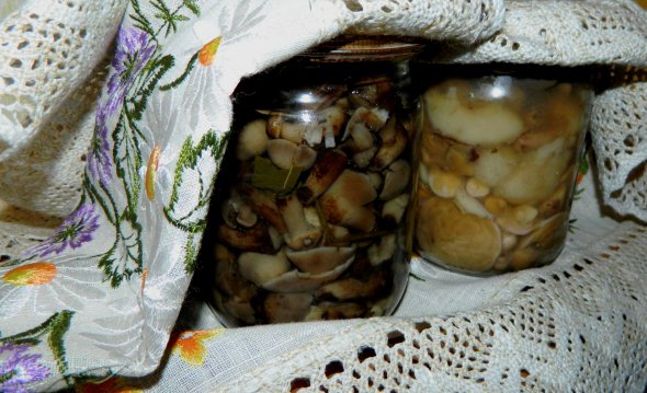 Вінниця: 7 людей отруїлося купленими консервованими грибами