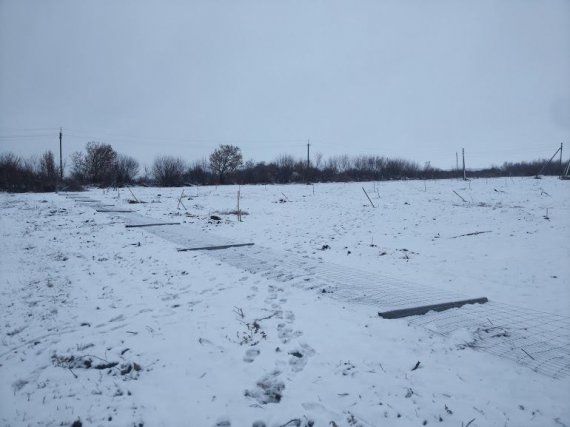 В селі Дудникове Полтаського району невідоми пошкодили горіховий сад