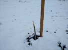 В селі Дудникове Полтаського району невідоми пошкодили горіховий сад