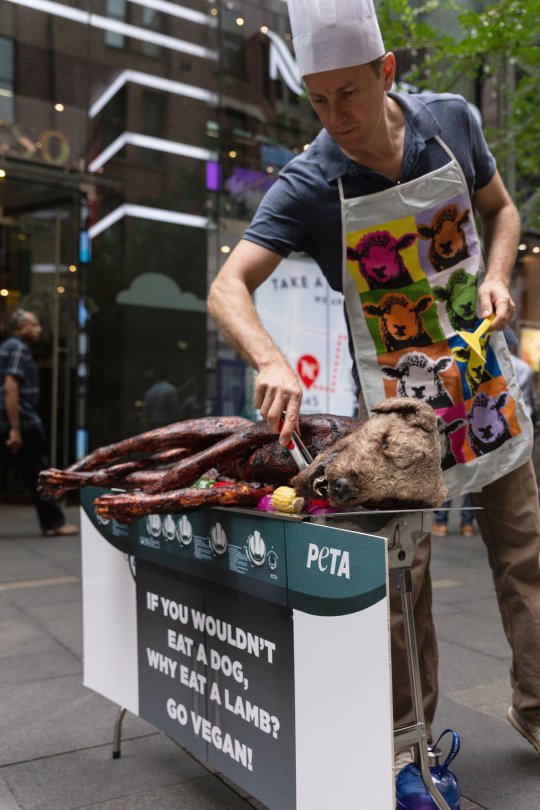 В центрі австралійського Сіднея, біля торгового центру смажили собаку-барбекю. Так провели акцію протесту активісти із зоозахисної організації PETA