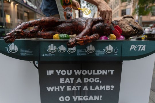 В центрі австралійського Сіднея, біля торгового центру смажили собаку-барбекю. Так провели акцію протесту активісти із зоозахисної організації PETA