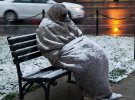 Аномальные морозы в США: украинцы рассказали как переживают арктический холод